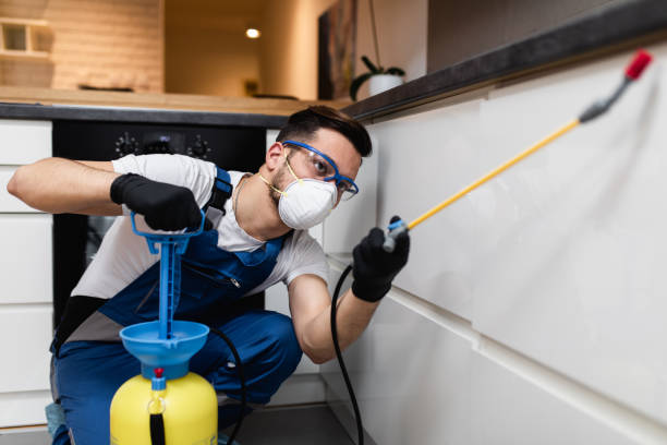 Best Rat Extermination Near Me  in Kirkl, IN
