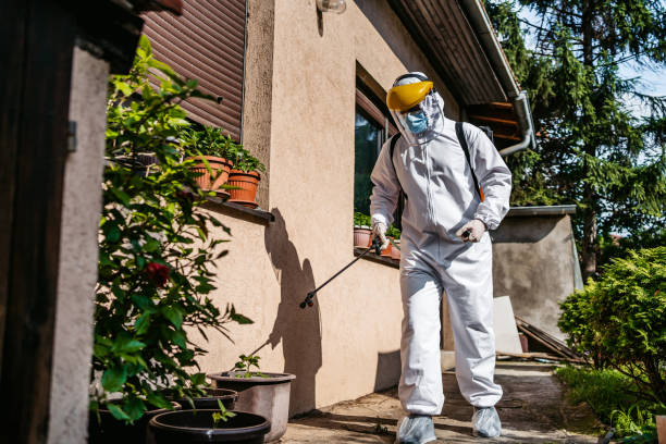 Best Exterminator Services  in Kirkl, IN