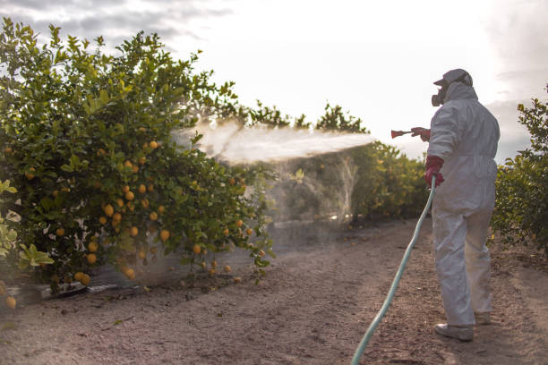 Best Exterminator Services  in Kirkl, IN
