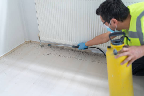 Best Commercial Pest Control Services  in Kirkl, IN